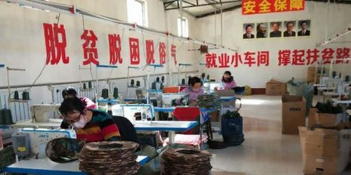 衡水市扶貧龍頭企業和扶貧車間全面復工，紡織品及針織品零售助力脫貧攻堅